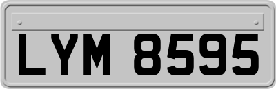 LYM8595