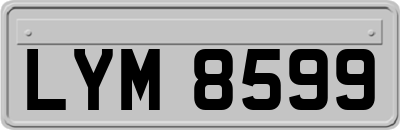 LYM8599