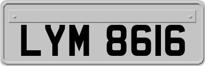 LYM8616