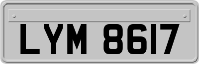 LYM8617
