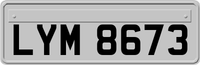 LYM8673