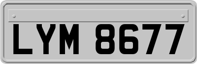 LYM8677