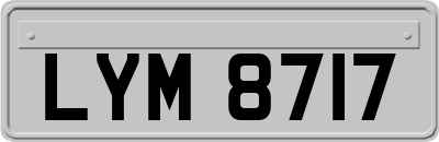 LYM8717