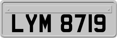 LYM8719