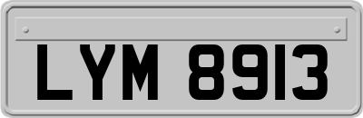 LYM8913