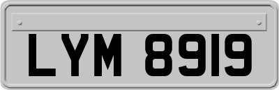 LYM8919