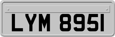 LYM8951