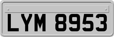 LYM8953