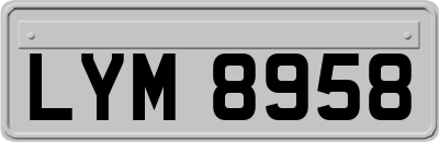 LYM8958