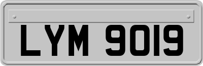 LYM9019