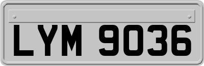 LYM9036