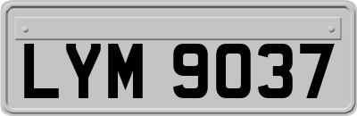 LYM9037