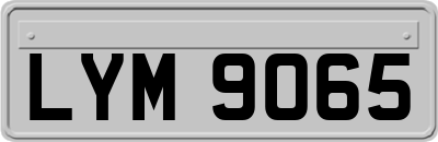 LYM9065