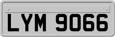 LYM9066