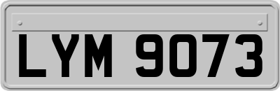 LYM9073