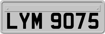 LYM9075
