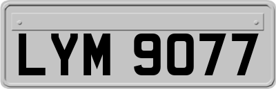 LYM9077