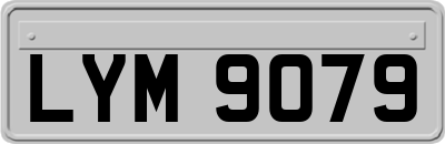 LYM9079