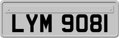 LYM9081