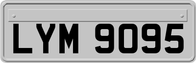 LYM9095