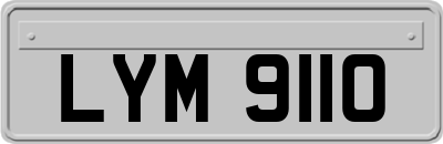 LYM9110