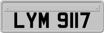 LYM9117