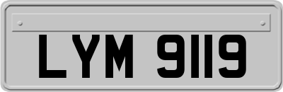 LYM9119
