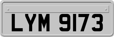 LYM9173