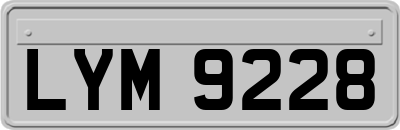LYM9228