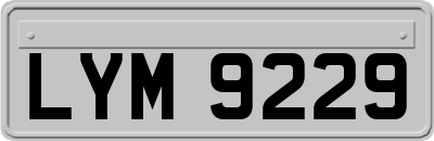 LYM9229
