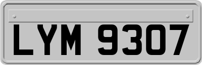 LYM9307