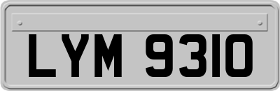 LYM9310