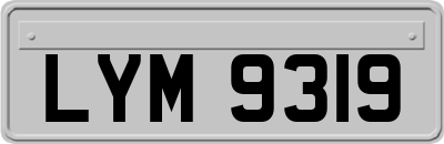 LYM9319