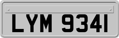 LYM9341