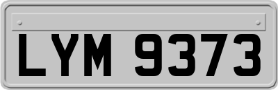 LYM9373