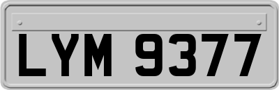 LYM9377