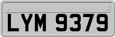 LYM9379