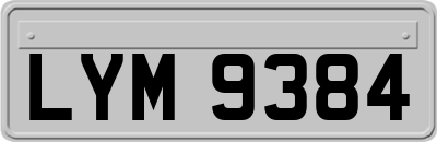 LYM9384
