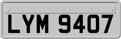 LYM9407