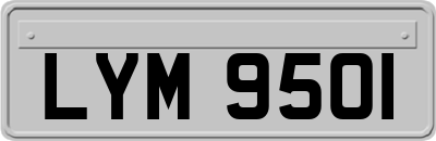 LYM9501