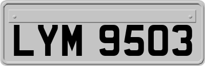 LYM9503