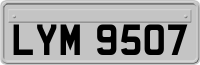 LYM9507