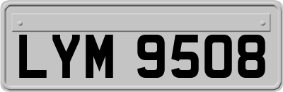 LYM9508