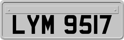 LYM9517