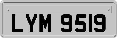 LYM9519
