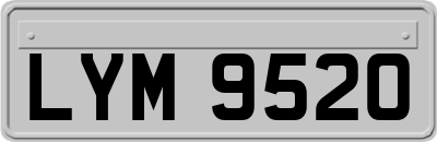 LYM9520