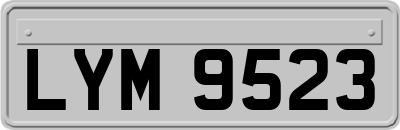LYM9523