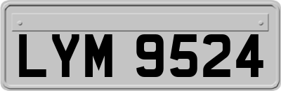 LYM9524