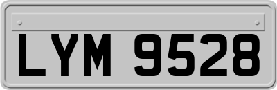 LYM9528