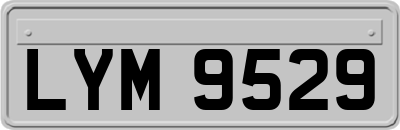 LYM9529